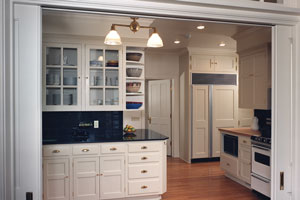 Traditional kitchen with internally paneled upper cabinets