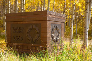 Custom cast solid concrete entry monument with custom bronze placards