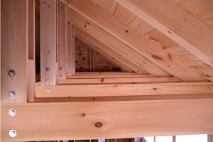 Beam trusses with bolt allignment